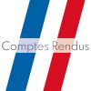 Conseils Municipaux 2017