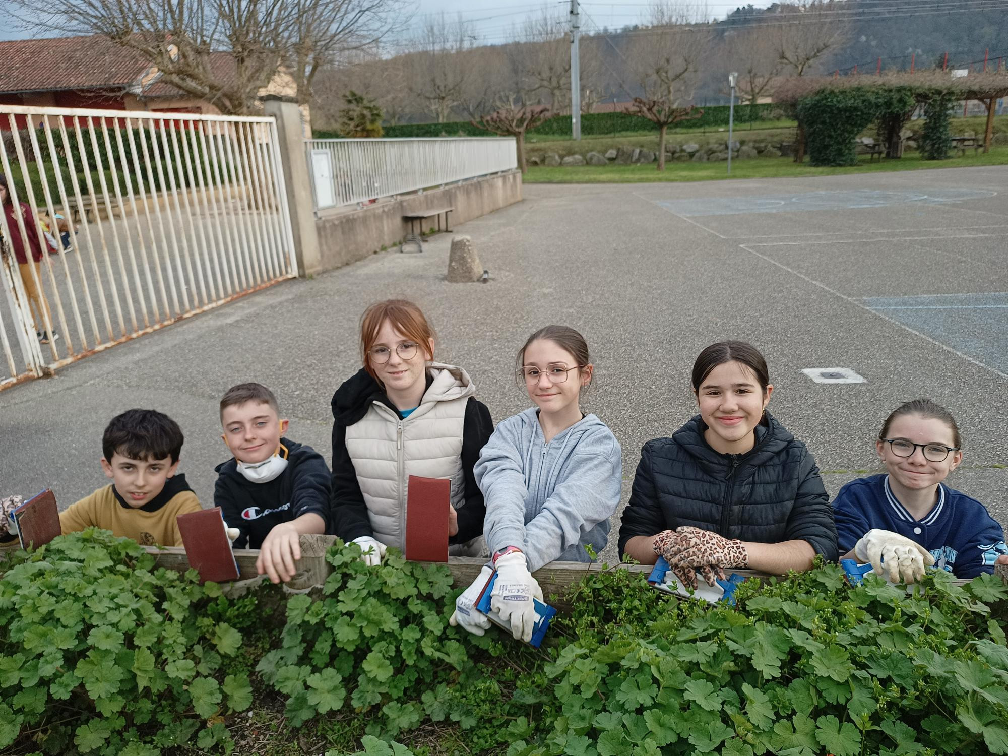 Equipe CME bacs de plantations.jpg