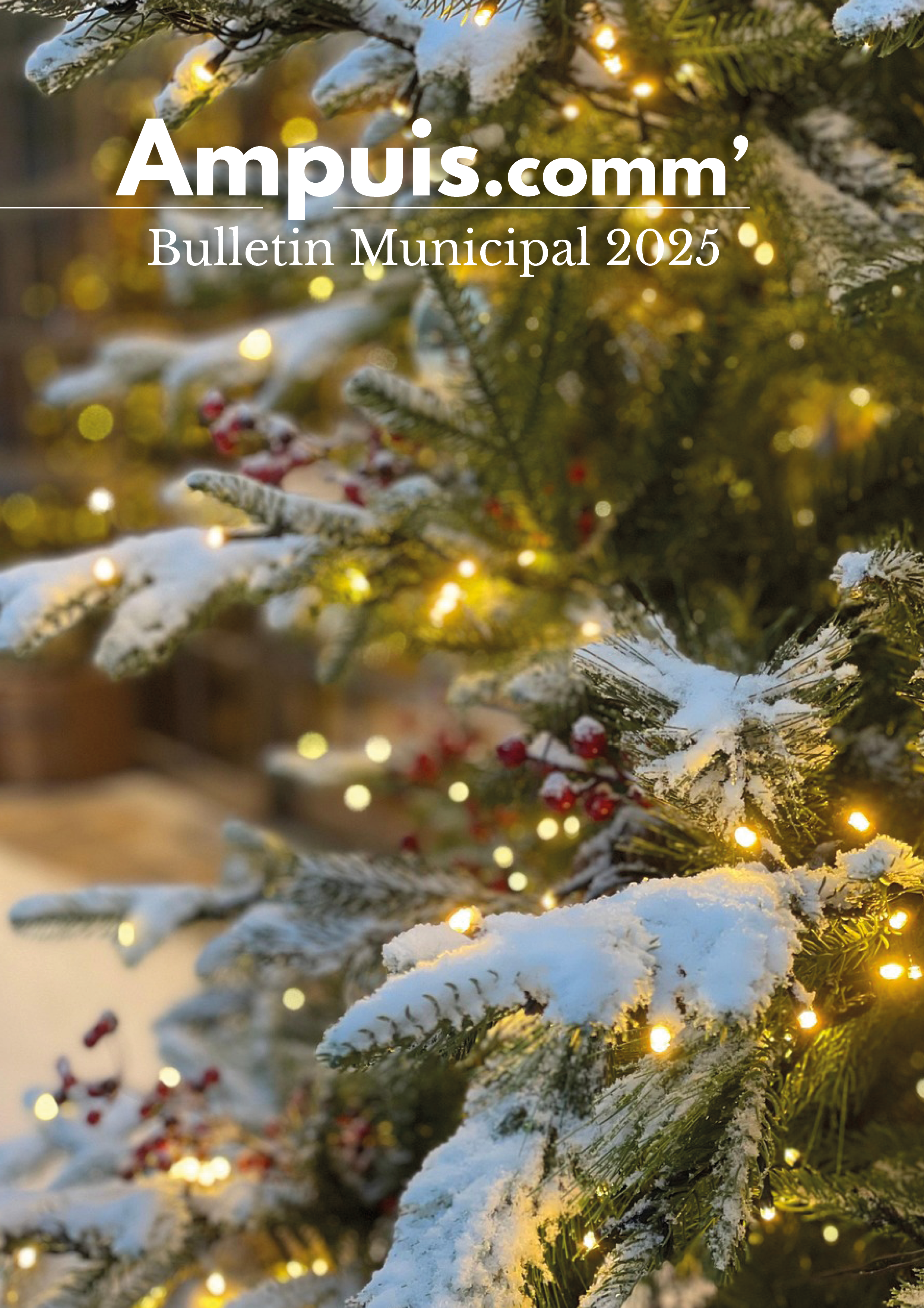 1er-page-decembre-20251.png