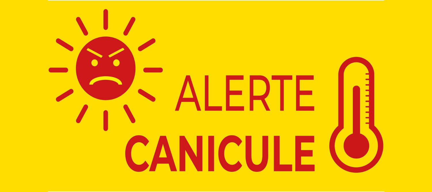 canicule.png