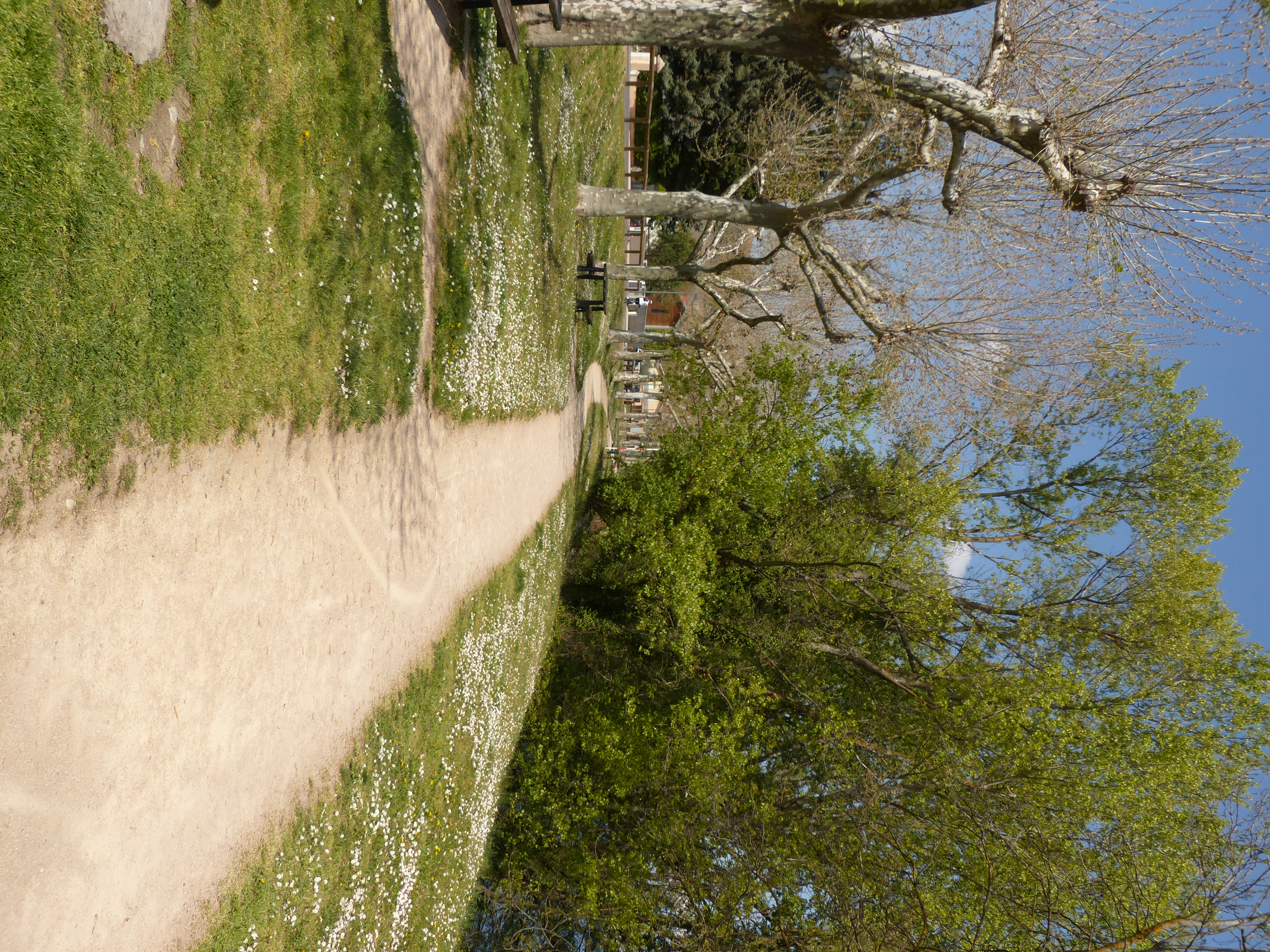 chemin pieton.jpg